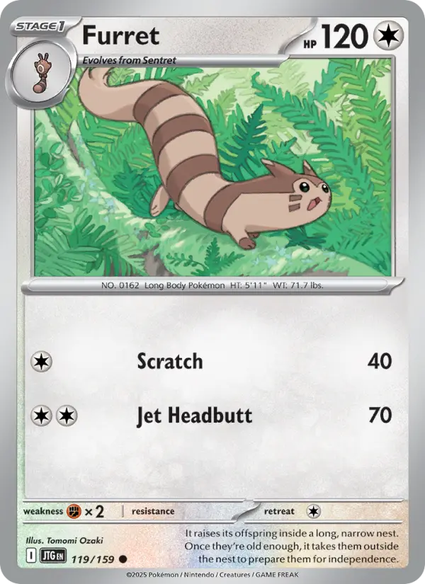 Furret - 119