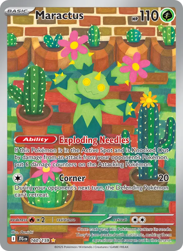Maractus - 160