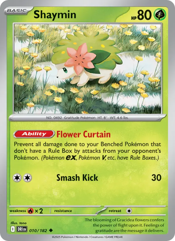 Shaymin - 010