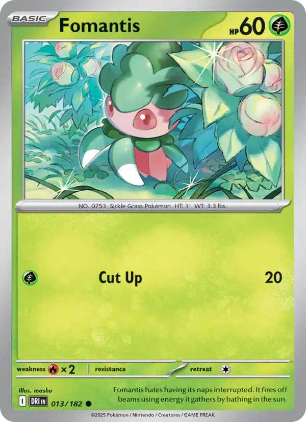 Fomantis - 013