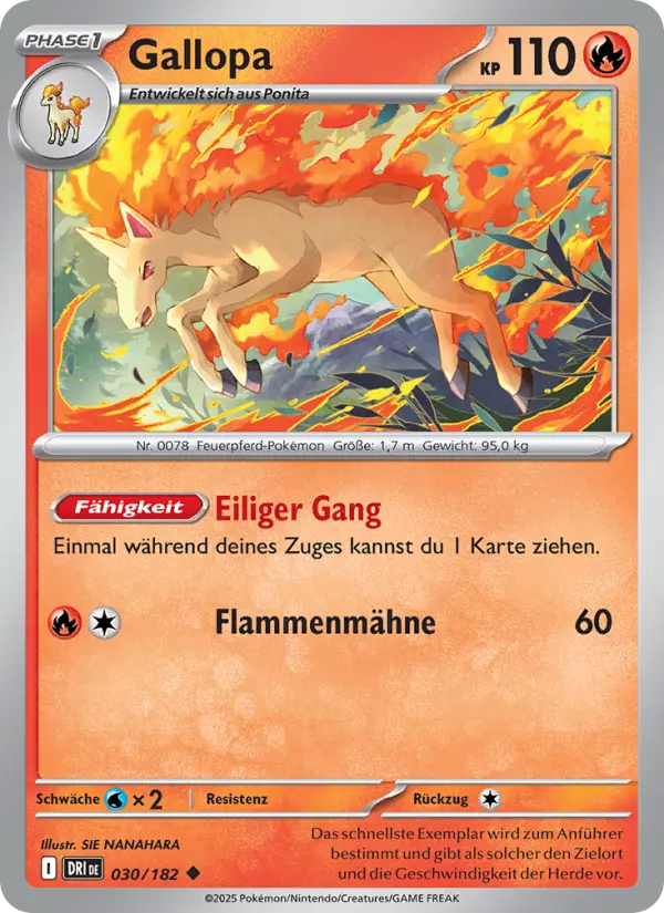 Gallopa - 030