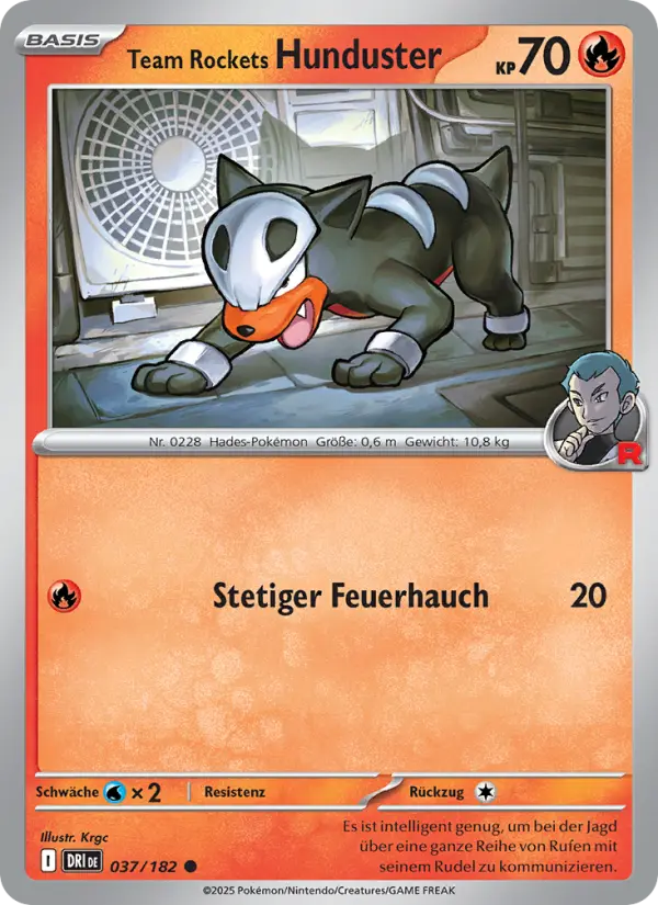 Team Rockets Hunduster - 037