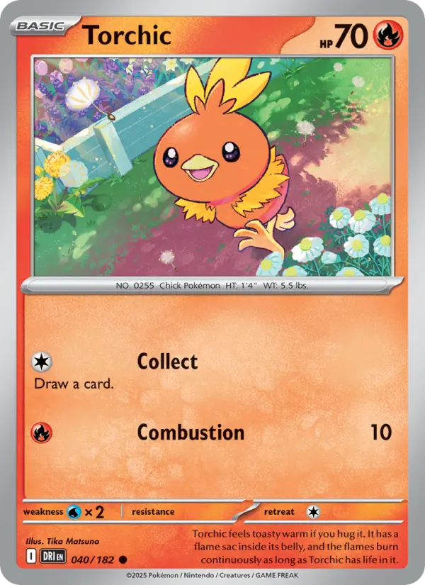 Torchic - 040