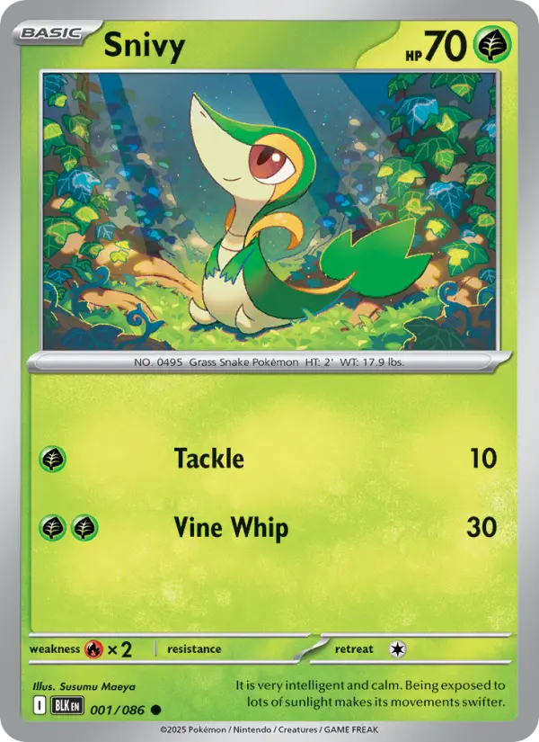Snivy - 001