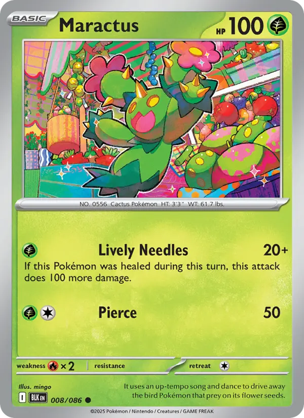 Maractus - 008