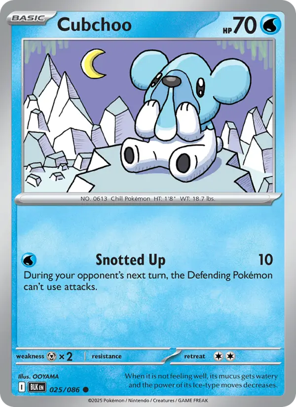 Cubchoo - 025