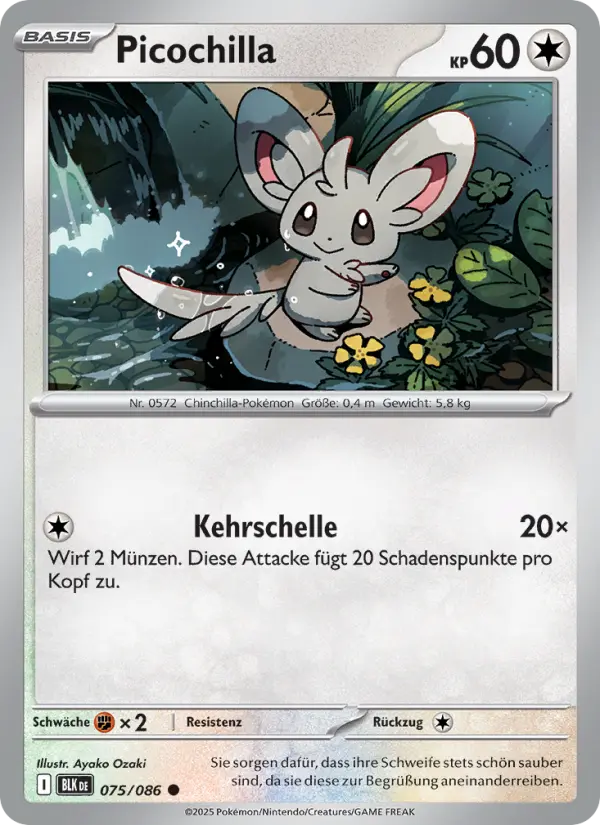 Picochilla - 075