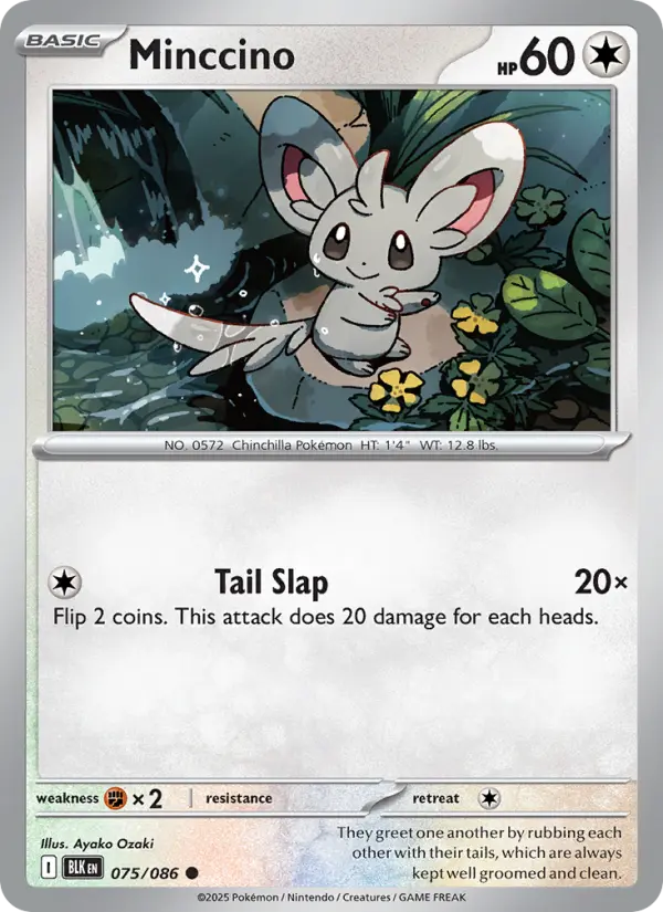 Minccino - 075