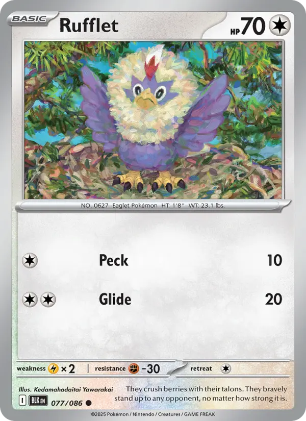 Rufflet - 077