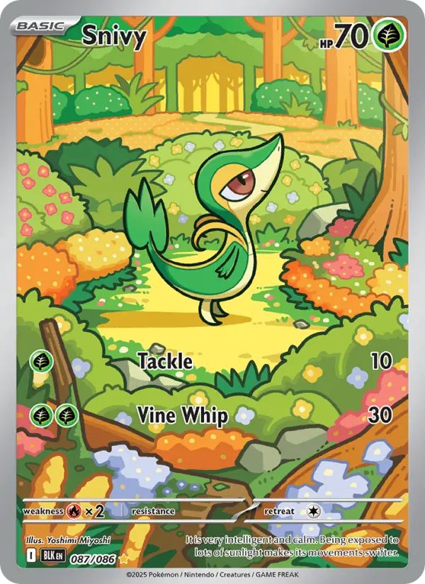 Snivy - 087