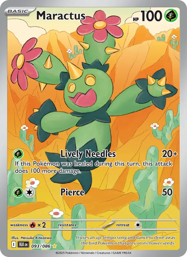 Maractus - 093