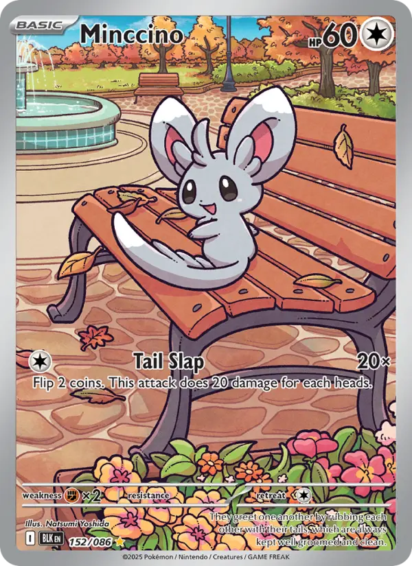 Minccino - 152