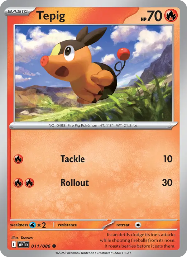 Tepig - 011