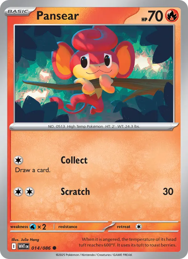 Pansear - 014
