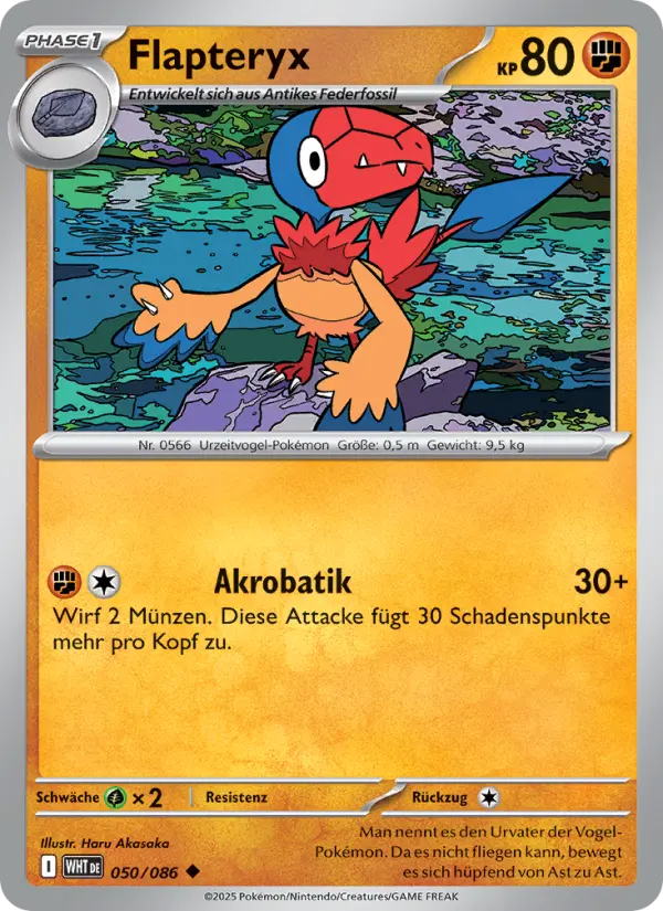 Flapteryx - 050