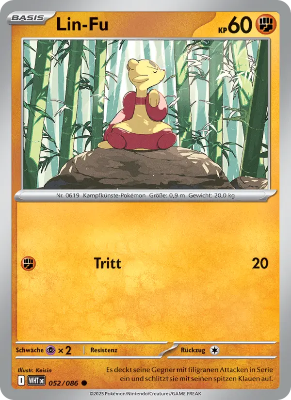 Lin-Fu - 052