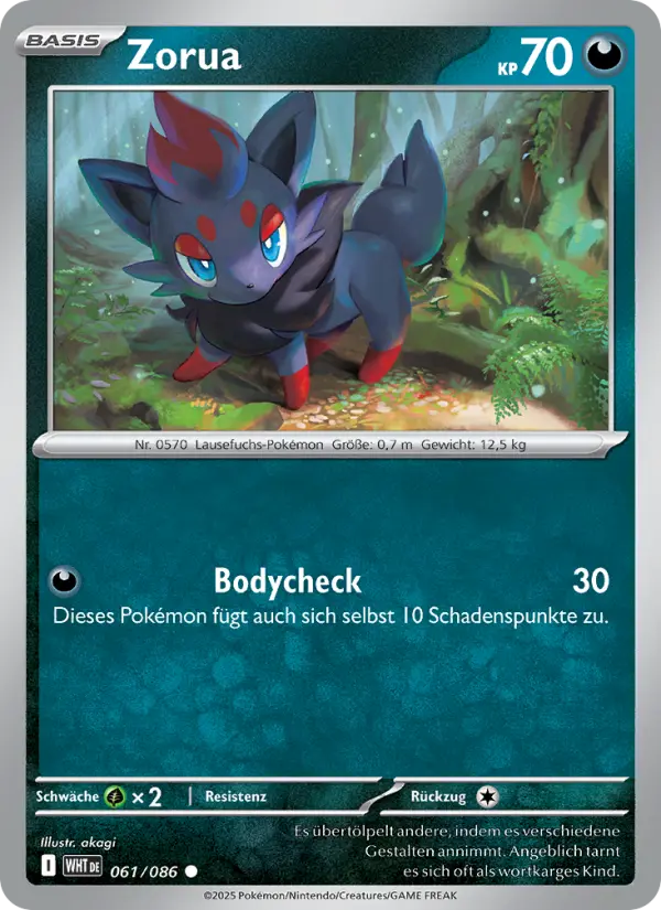 Zorua - 061