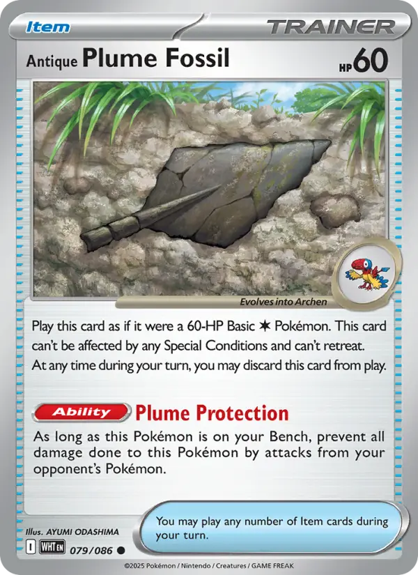 Antique Plume Fossil - 079