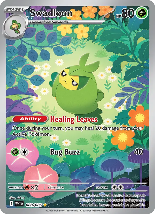 Swadloon - 088