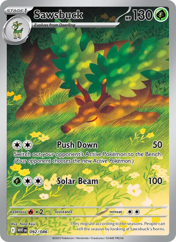 Sawsbuck - 092
