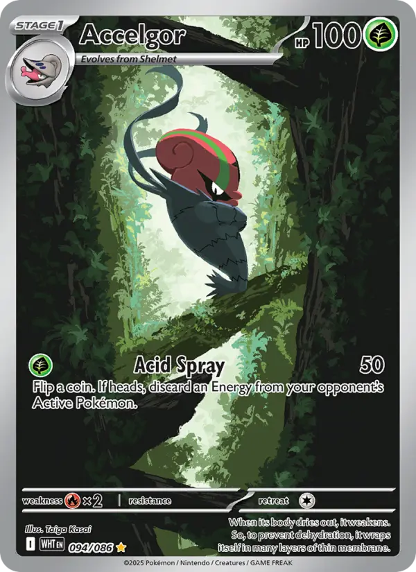 Accelgor - 094