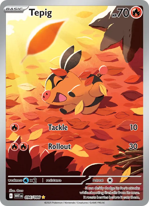 Tepig - 096