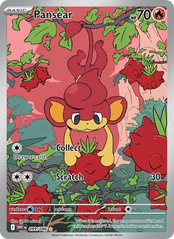Pansear - 099