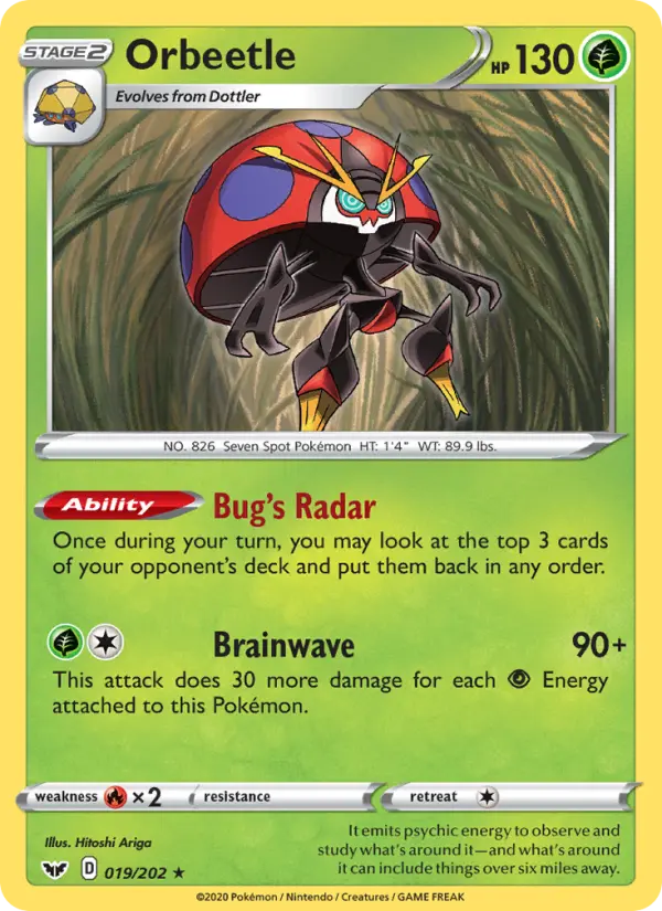 Orbeetle - 19