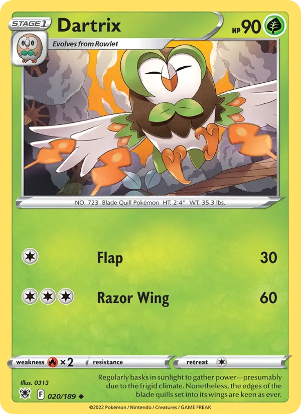 Dartrix - 020