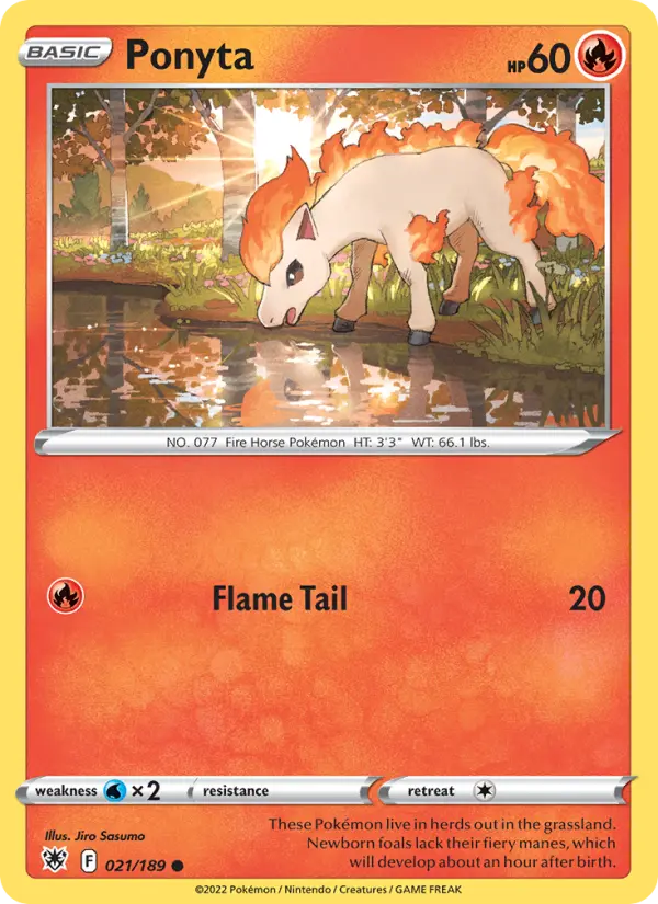 Ponyta - 021