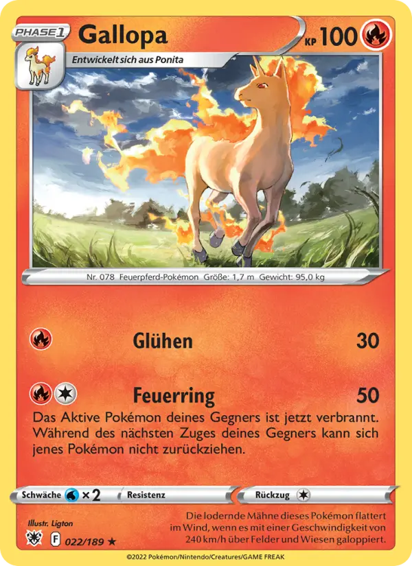 Gallopa - 022