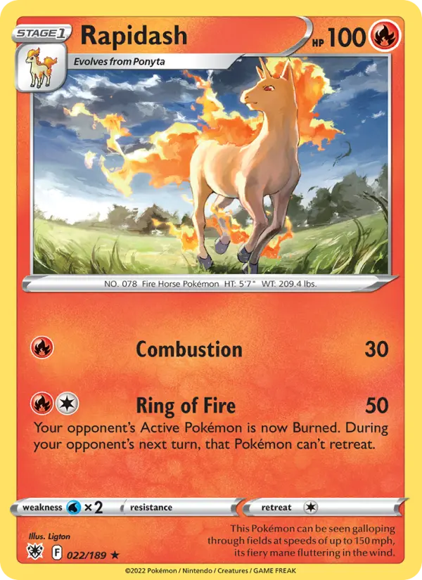 Rapidash - 022