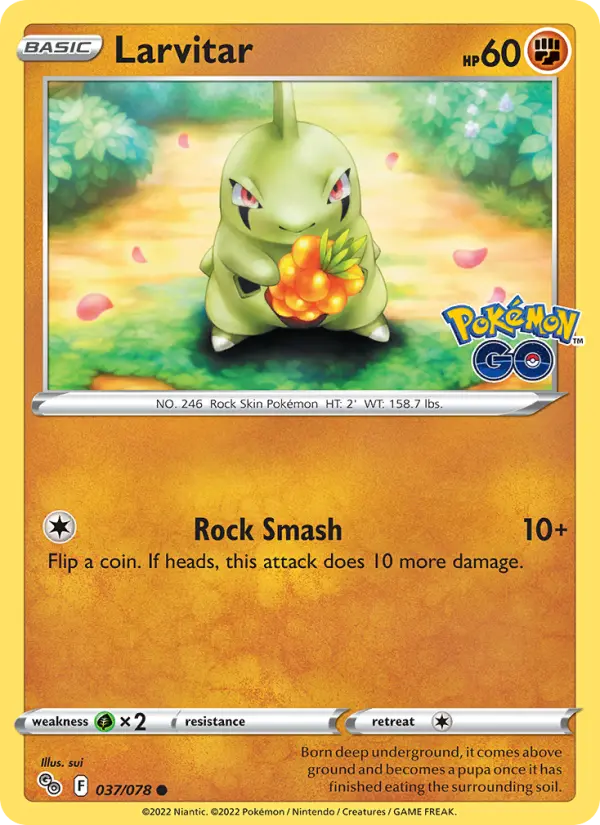 Larvitar - 037