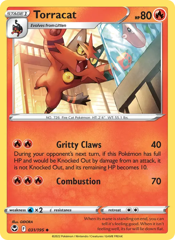 Torracat - 031