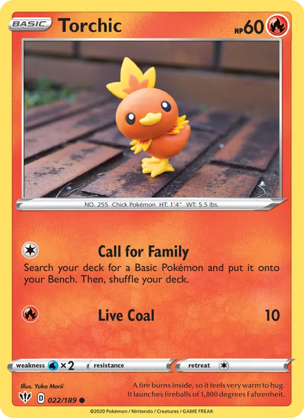 Torchic - 22