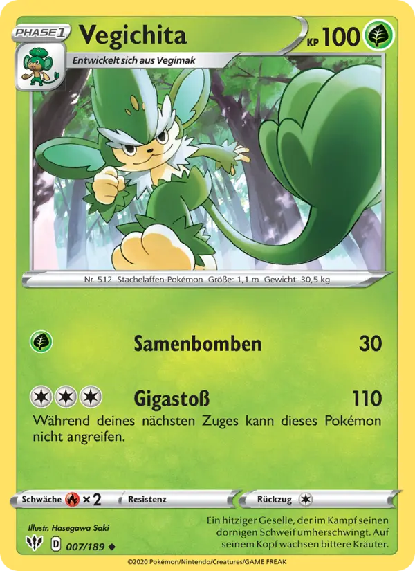 Vegichita - 7