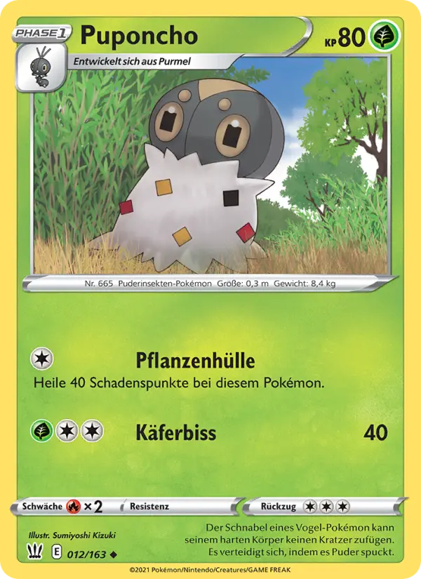 Puponcho - 12