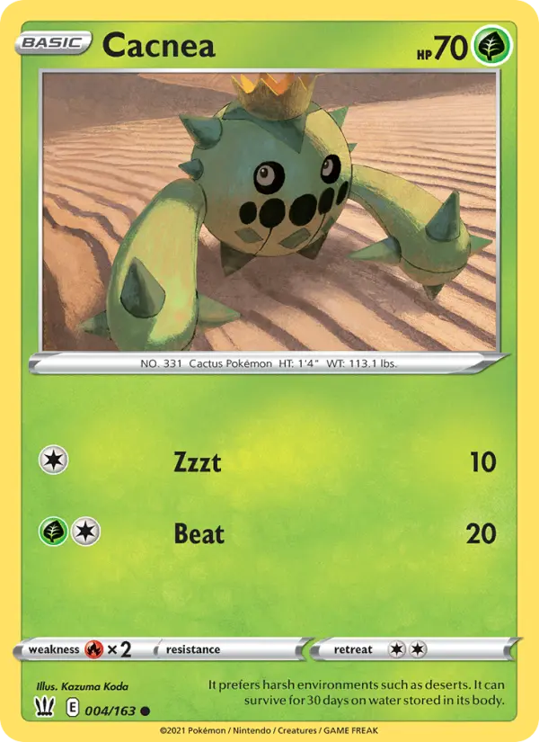 Cacnea - 4