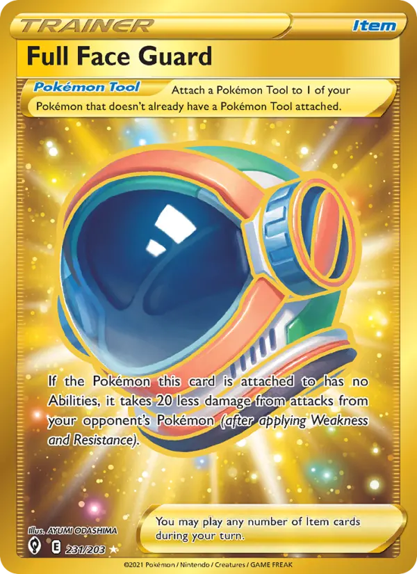 Full Face Guard - 231