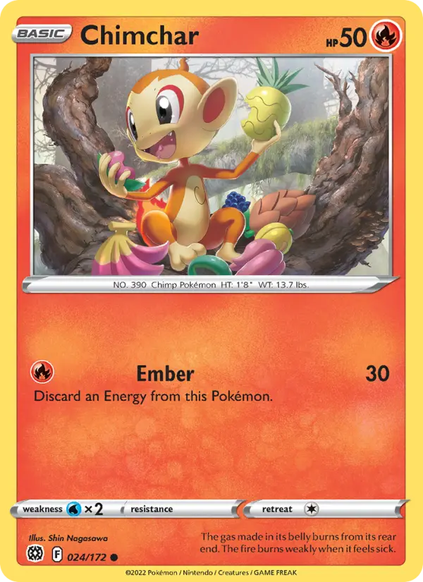 Chimchar - 024