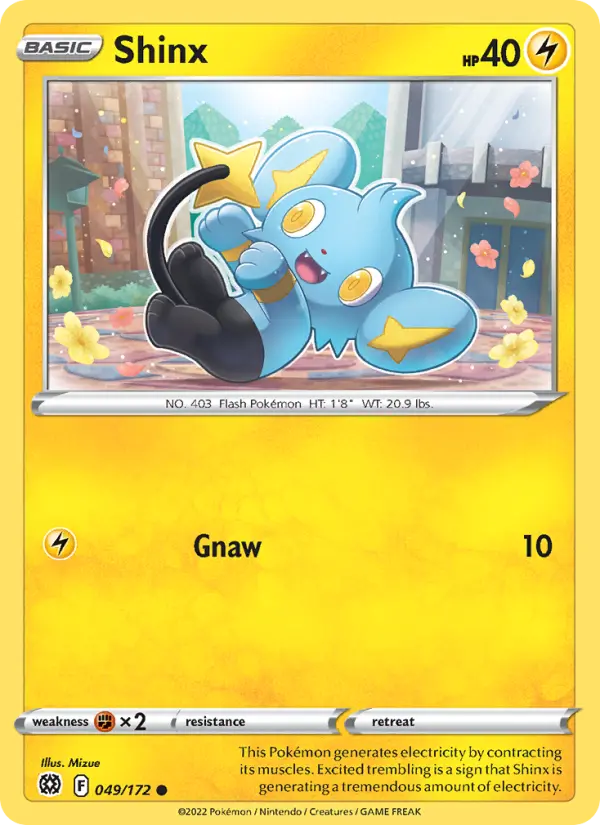 Shinx - 049