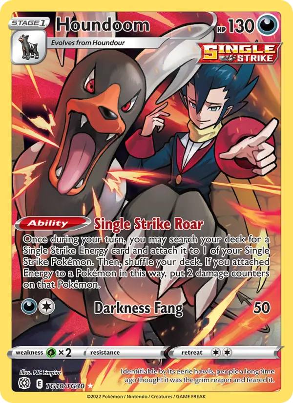 Houndoom - TG10