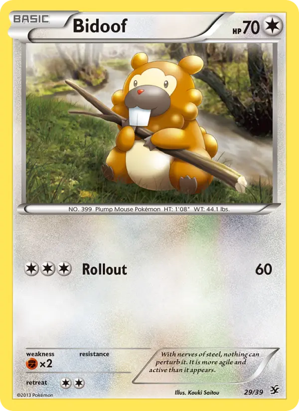 Bidoof - 29