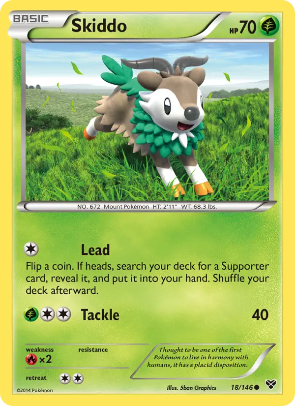 Skiddo - 18