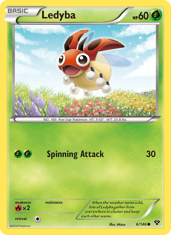 Ledyba - 6