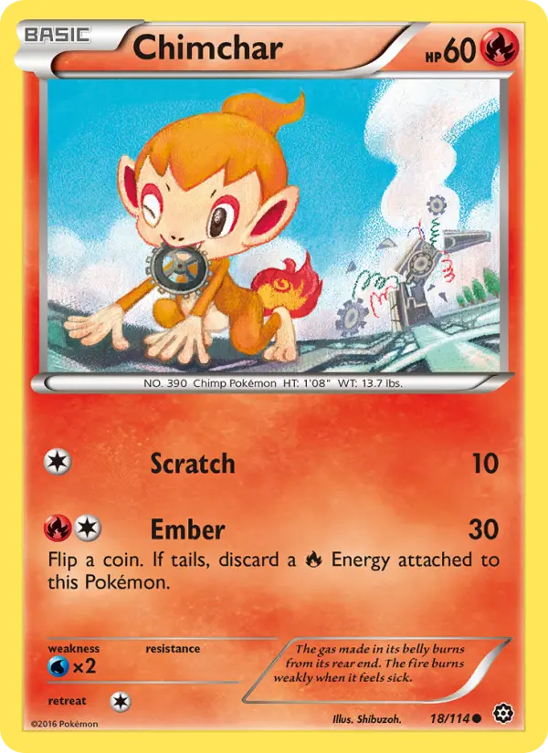 Chimchar - 18