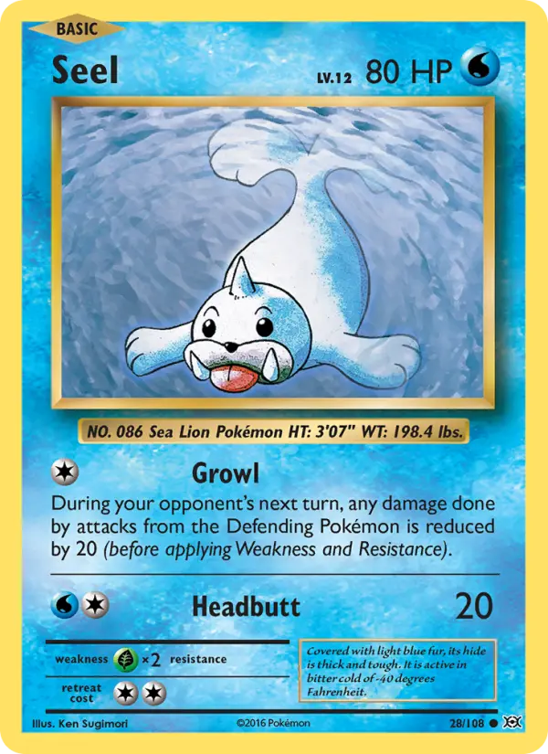 Seel - 28