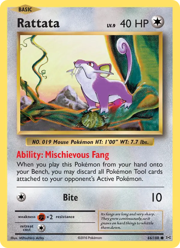 Rattata - 66