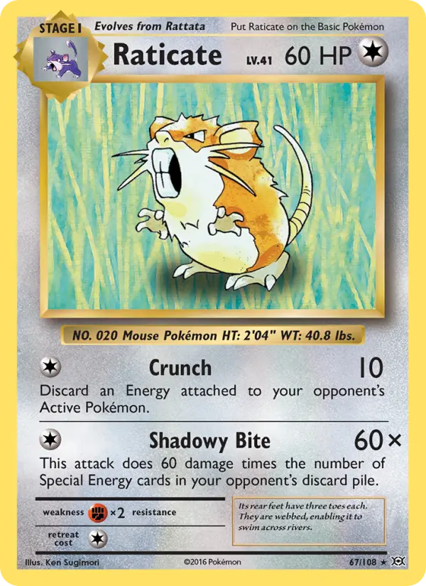 Raticate - 67