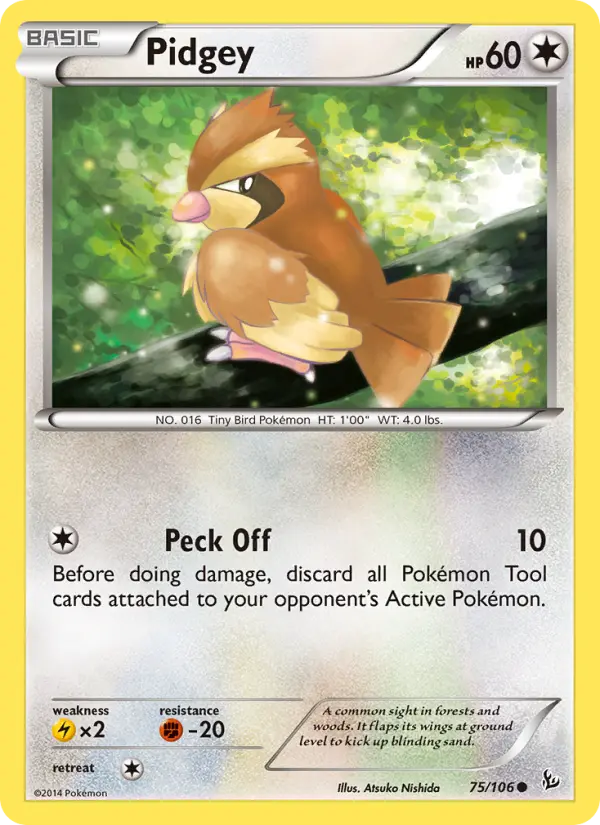 Pidgey - 75